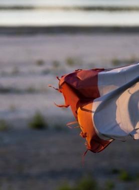 "هآرتس": إيطاليا "زبون سري" لطائرات التجسس الإسرائيلية