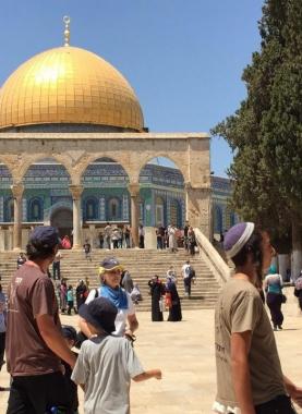 مستوطنون يقتحمون الأقصى -أرشيف-