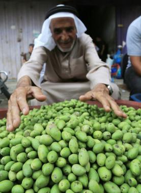 بائع زيتون في غزة