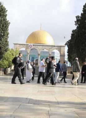 اقتحام المستوطنين للمسجد الأقصى المبارك