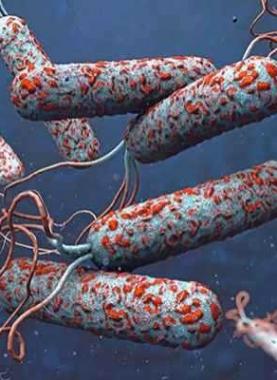 صورة تعبيرية