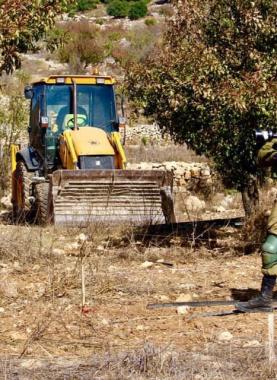 الاحتلال يقتلع أشجار