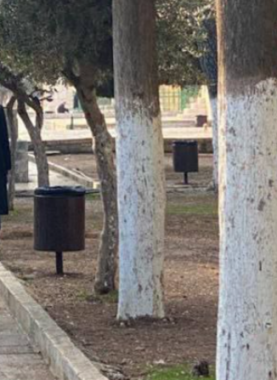 اقتحام المستوطنين للمسجد الأقصى المبارك