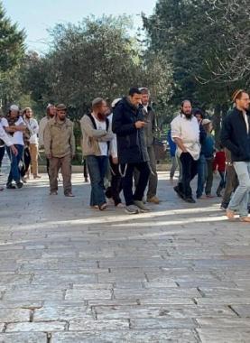 مستوطنون يقتحمون المسجد الأقصى