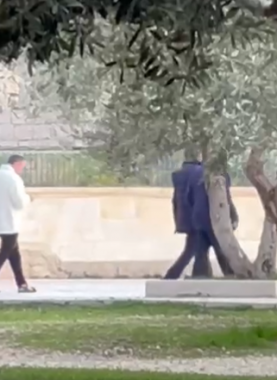 مستوطنون يقتحمون المسجد الأقصى