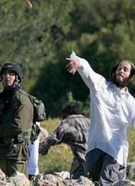 مستوطنين يهاجمون مواطنين فلسطينيين