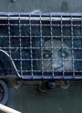 الاحتلال يمدد اعتقال الأسيرة المريضة رجاء كرسوع من نابلس