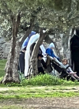 مستوطنون يقتحمون باحات المسجد الأقصى المبارك