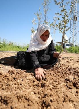 الجهاد الإسلامي: ندعو لتصعيد المقاومة في ذكرى يوم الأرض