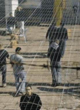 هيئة الأسرى: 19 أسيرًا عربيًا في سجون الاحتلال