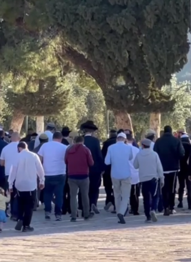 صورة تعبيرية