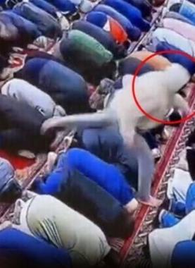 لحظة طعن إمام مسجد في صلاة الفجر بنيوجيرسي