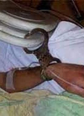 صورة أرشيفية