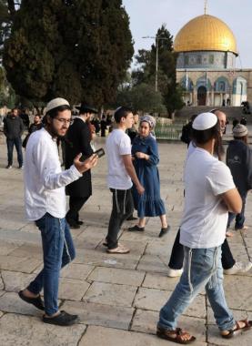 مستوطنون يقتحمون الأقصى