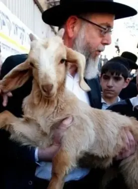 مستوطنون متطرفون -أرشيف-