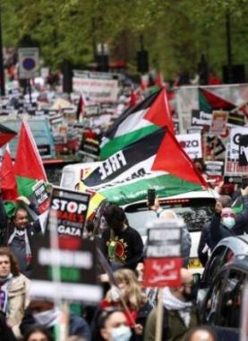 تضامن الشعب البليجيكي مع فلسطين - أرشيف