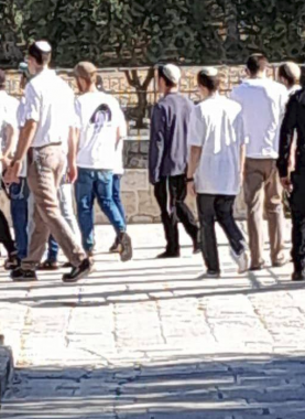 عشرات المستوطنين يقتحمون الأقصى بحماية قوات الاحتلال