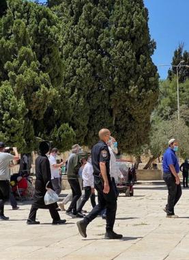 مستوطنون يقتحمون باحات المسجد الأقصى - أرشيفية -