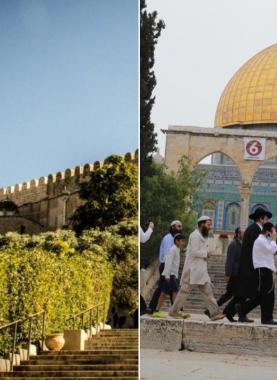 المسجد الأقصى والحرم الإبراهيمي