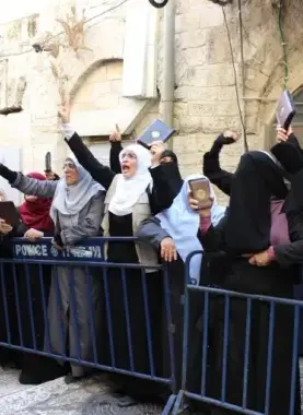 المرابطات في الأقصى - أرشيف