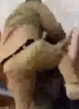 ابن رئيس الشيشان ينهال بالضرب على "حارق القرآن"