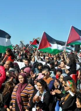 صورة -أرشيفية-