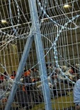 "سديه تيمان" مسلخ بشري ينتهك خصوصية الأسرى الغزيين والعالم لا يحرك ساكنًا