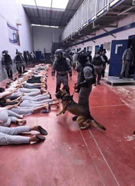 فارس لـ شهاب: ما يتعرض له الأسرى في سجون الاحتلال أصعب بكثير من مشاهد التعذيب المسرّبة