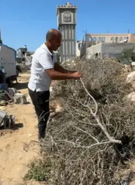 هكذا أباد الاحتلال القطاعين الزِّراعيَّ والحيوانيَّ في قطاع غزَّة