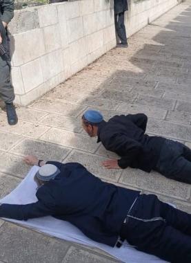 مستوطنون يدنسون المسجد الأقصى المبارك