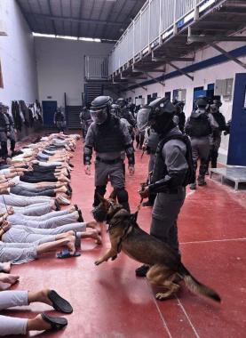 الاسرى في سجون الاحتلال