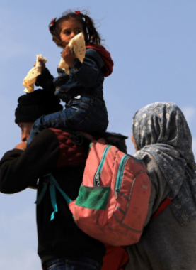 Gaza Hunger and Bombardment Claim More Lives in 24 Hours.png