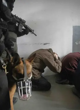 الأسرى في سجون الاحتلال