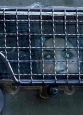 أسيرة فلسطينية تنظر من نافذة جيب عسكري إسرائيلي