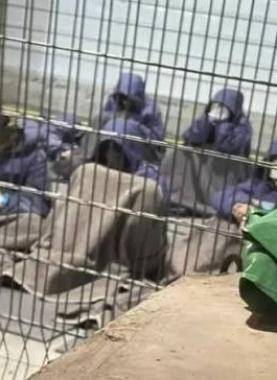 الأسرى الفلسطينيين في سجون الاحتلال الإسرائيلي -أرشيفية-