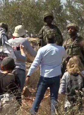 تصاعد إرهاب المستوطنين في الضفة.. اقتلاع مئات الأشجار واعتداءات واسعة في نابلس والخليل