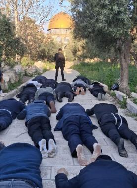 مستوطنون يؤدون ما يُعرف بـ”السجود الملحمي” قبالة مسجد قبة الصخرة، خلال اقتحامهم المسجد الأقصى