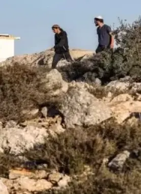 مستوطنون