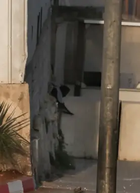 عملية الخليل البطولية