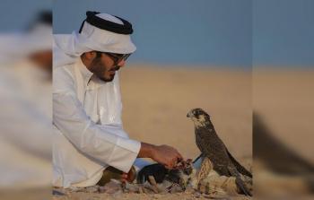 5dd998ce4c59b75c7328f461