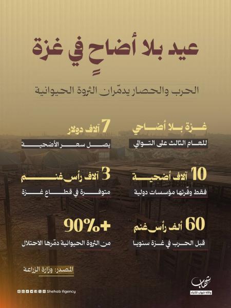 انفوجرافيك: عيد بلا أضاحٍ في غزة — الحرب والحصار يدمّران الثروة الحيوانية