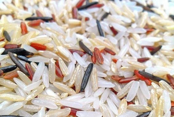 1047058653_0_0_1441_780_1000x541_80_0_0_0057e06dc88fc28c5fbdb0e852847037