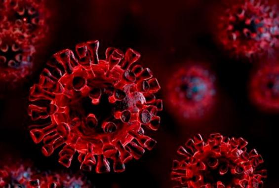 untitl6jq46j6jq46jw56j6jed-1