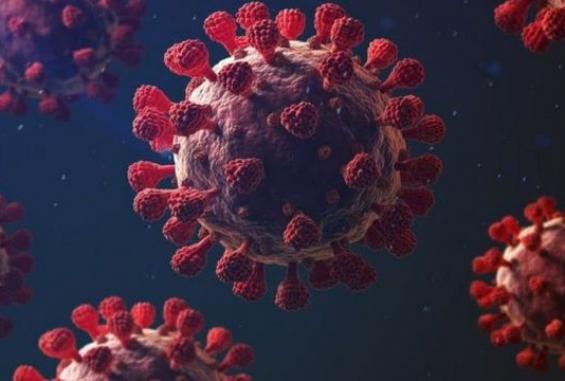 _115056004_59e3fa7b-83c4-4e35-9c45-63a41900631a
