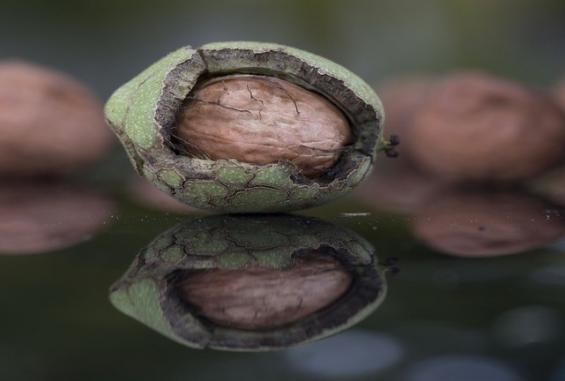 5cf4eb2295a5975d488b45a9