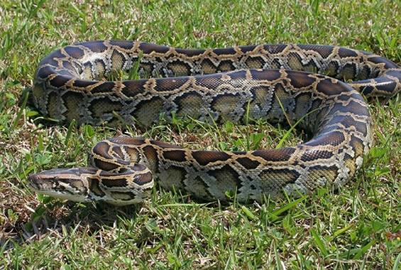 1043021825_0_107_1281_800_1000x541_80_0_0_c5f767f5000236840af0275cbf2e2864