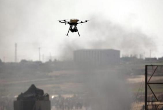 حوامة على حدود غزة