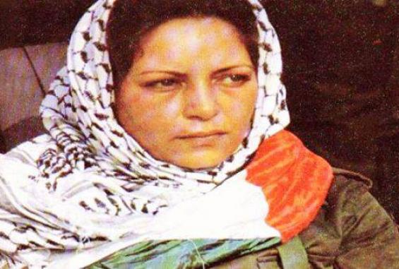 29062692_2504542439588161_5388146170591707136_n