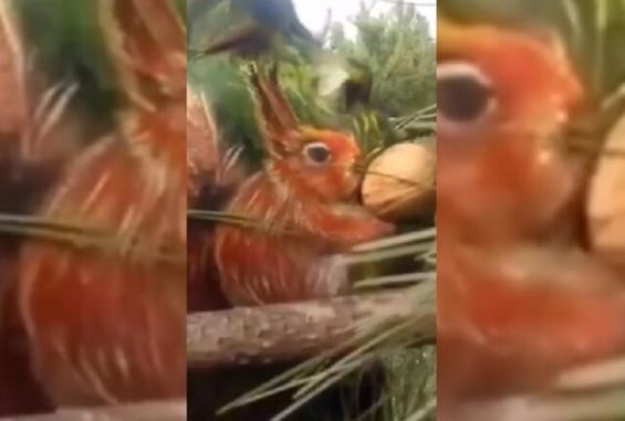 5f5e5a384c59b705c904ec4f