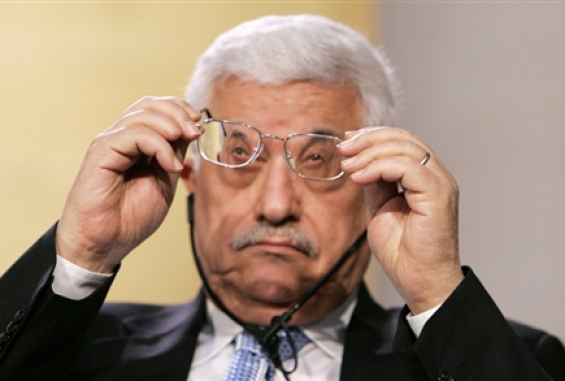 abbas-glasses